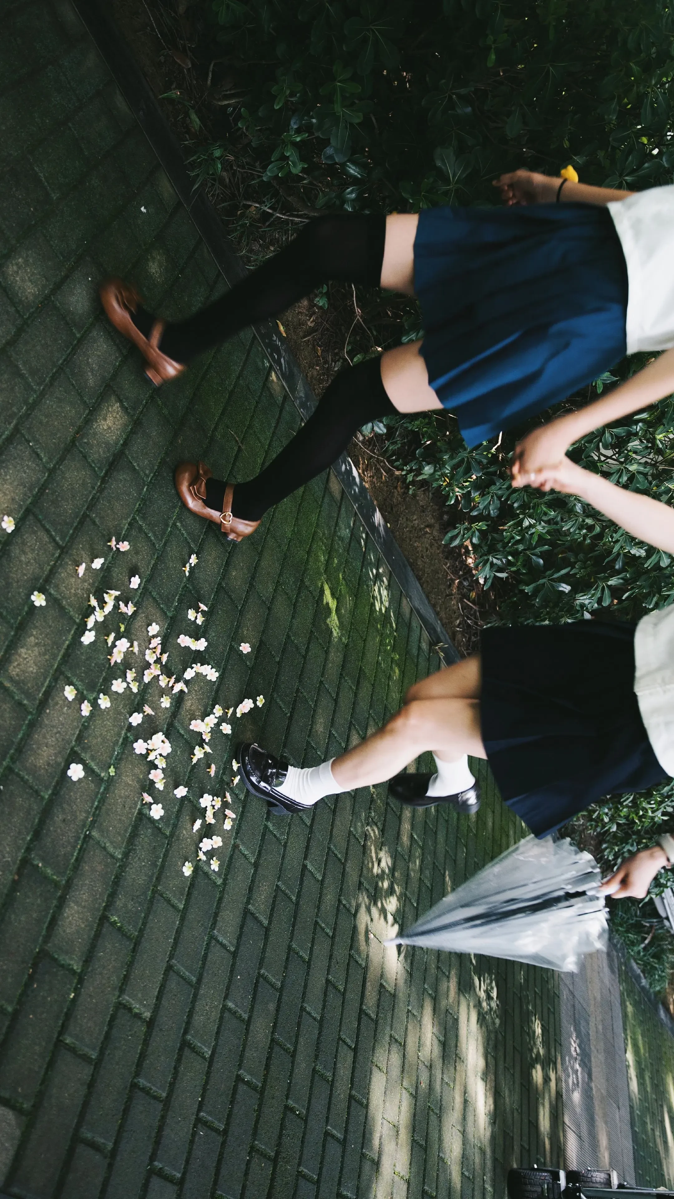 青春，是一场下不完的雨。阴雨天，在公园拍