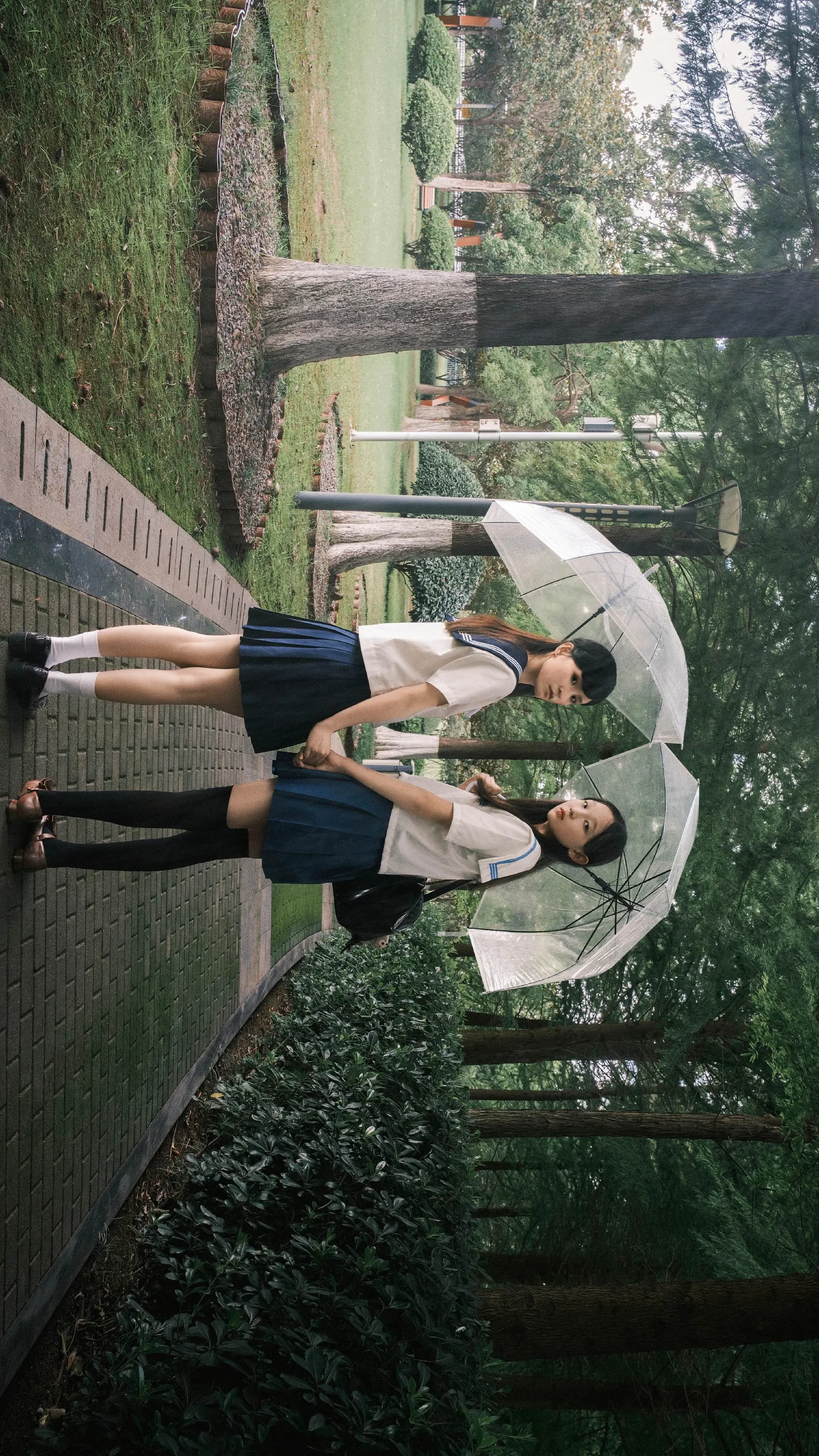 青春的肆意，总是散落在雨季。淋一场绿意朦