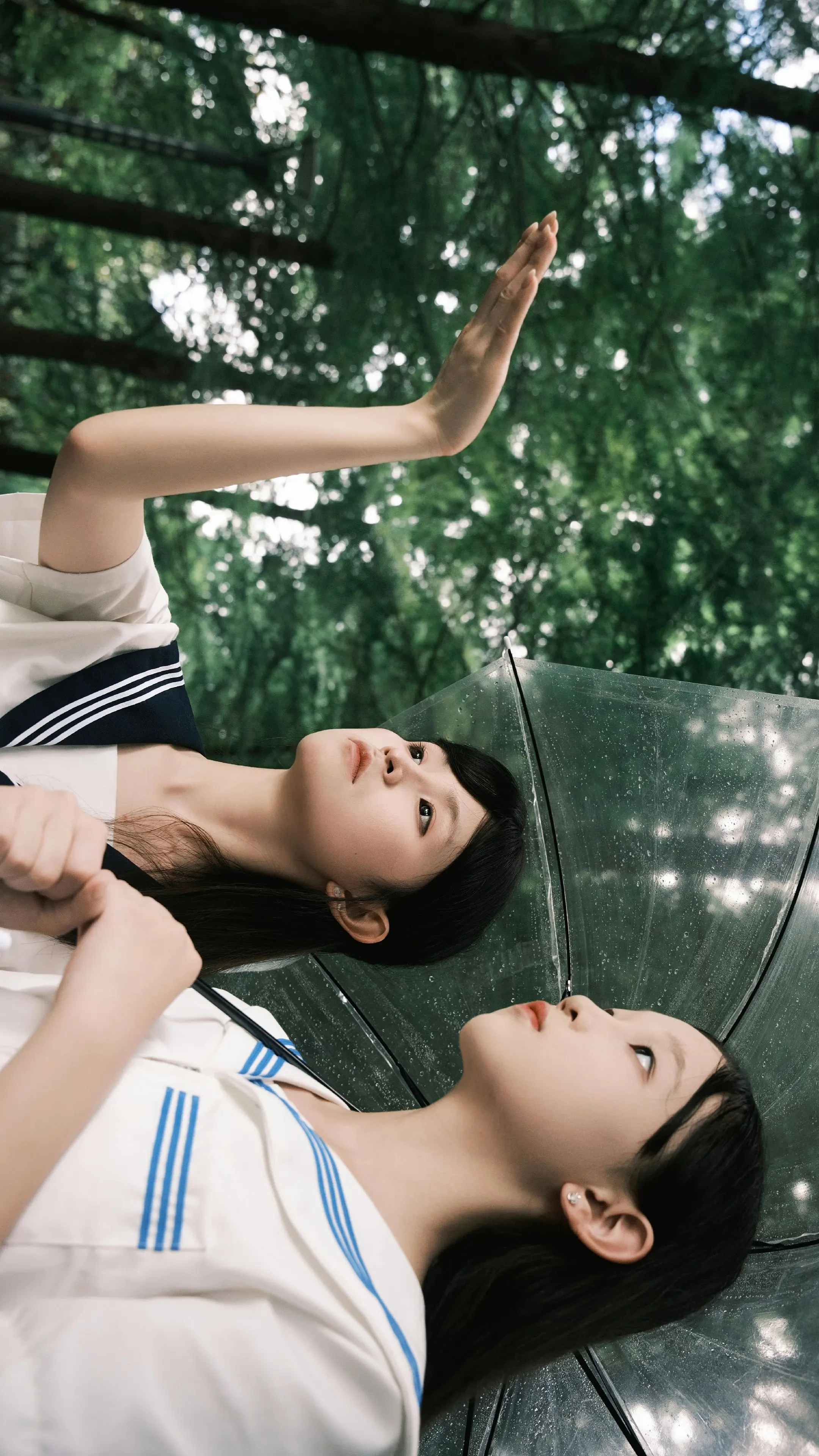 青春的肆意，总是散落在雨季。淋一场绿意朦